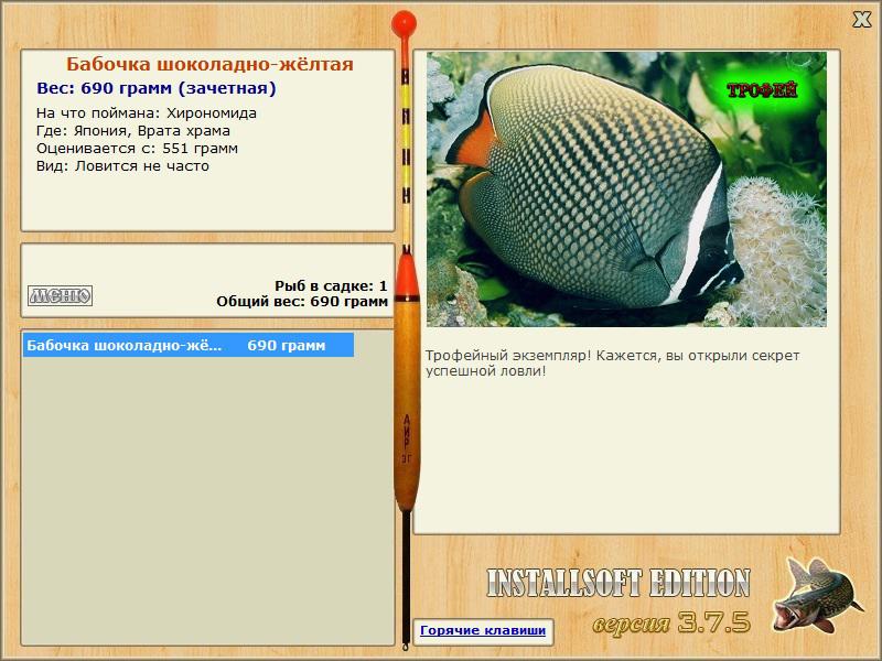 Хирономида 