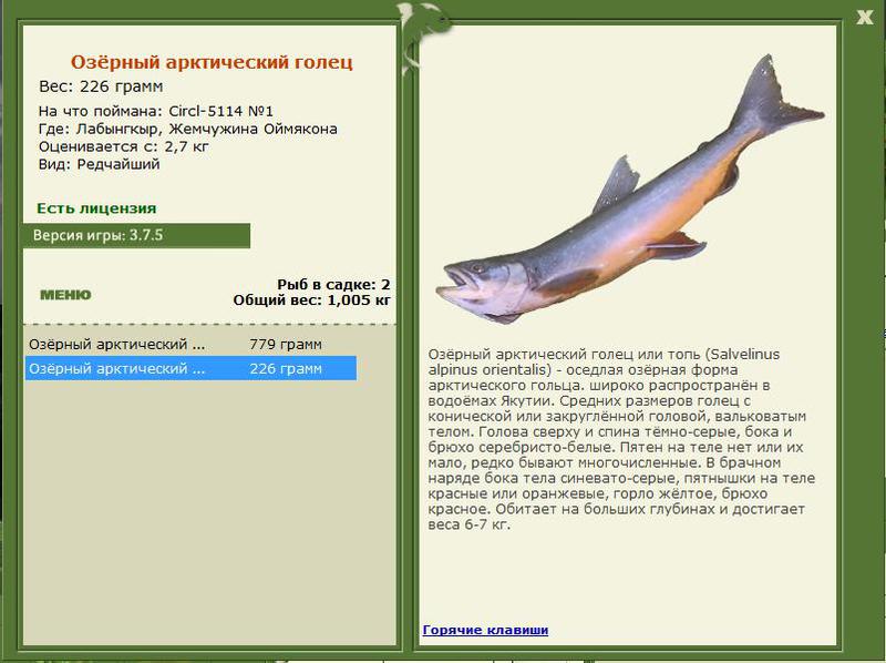 РУССКАЯ РЫБАЛКА Installsoft Edition 