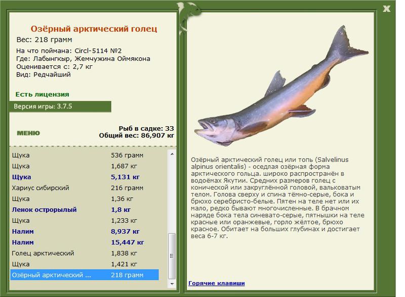 Лабынгкыр 