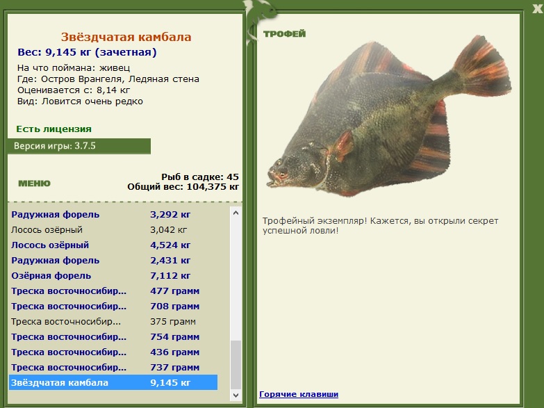 Звёздчатая камбала 