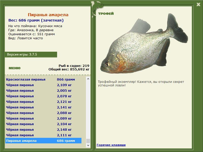 В деревне 