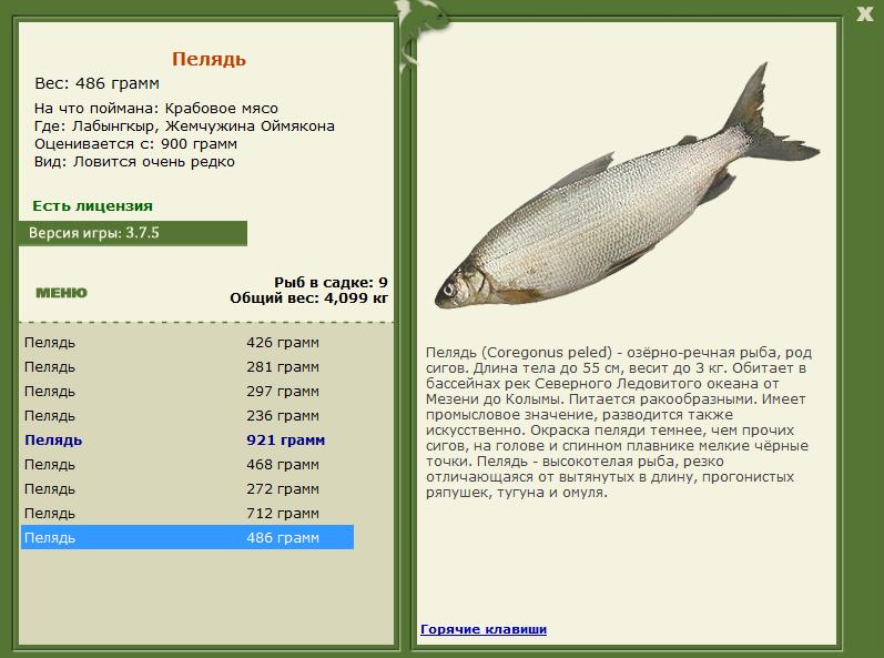 РУССКАЯ РЫБАЛКА Installsoft Edition 
