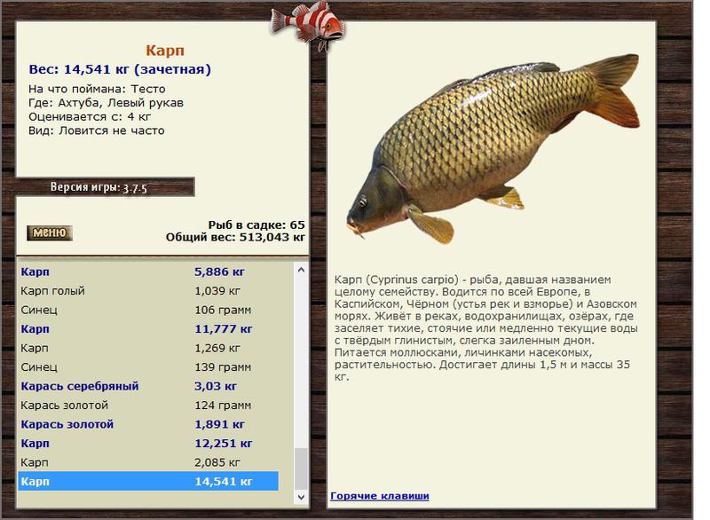 РУССКАЯ РЫБАЛКА Installsoft Edition 