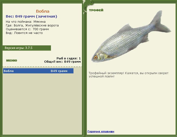 турниры • РУССКАЯ РЫБАЛКА