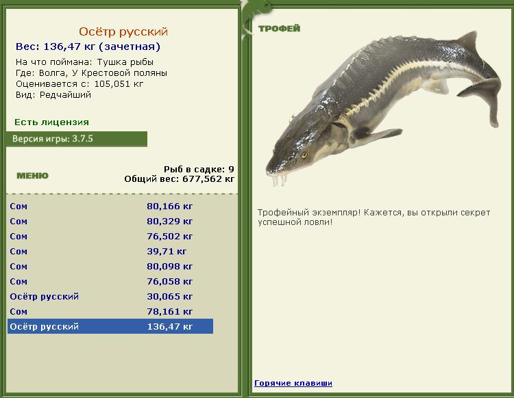 турниры • РУССКАЯ РЫБАЛКА