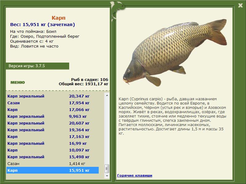 РУССКАЯ РЫБАЛКА Installsoft Edition 