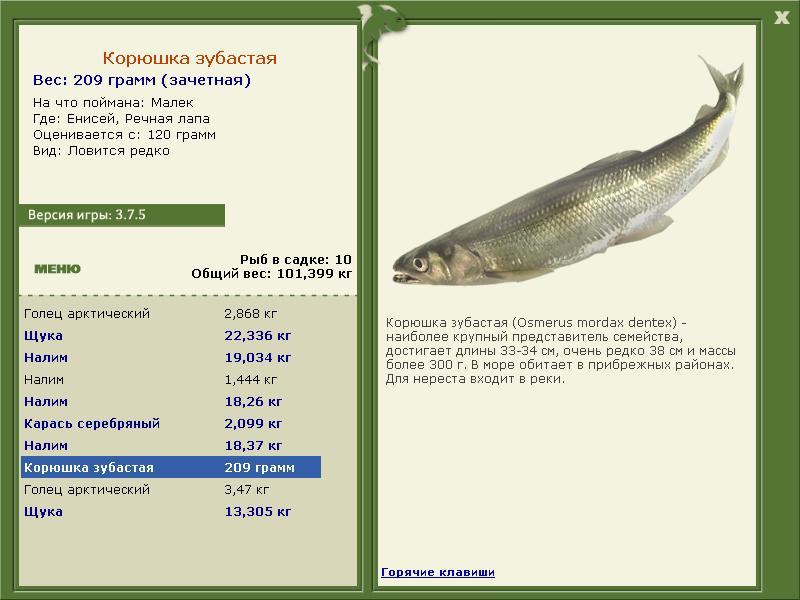 Речная лапа 