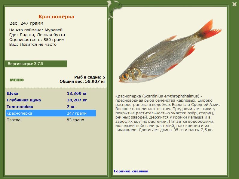 РУССКАЯ РЫБАЛКА Installsoft Edition 