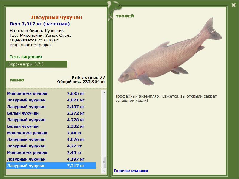 Замок Скала 