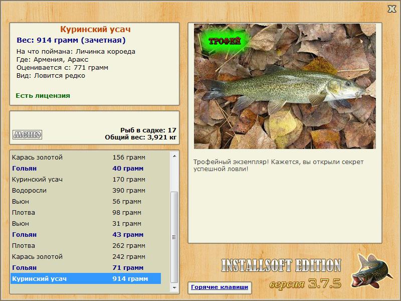 Куринский усач 