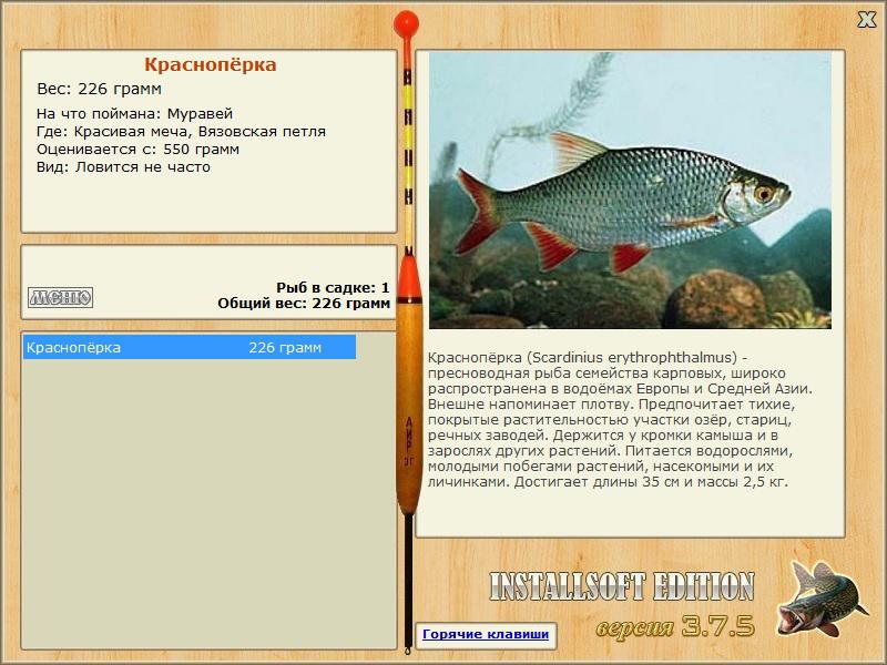 турниры • РУССКАЯ РЫБАЛКА