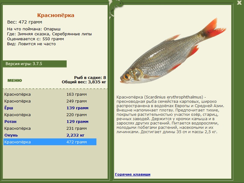 турниры • РУССКАЯ РЫБАЛКА