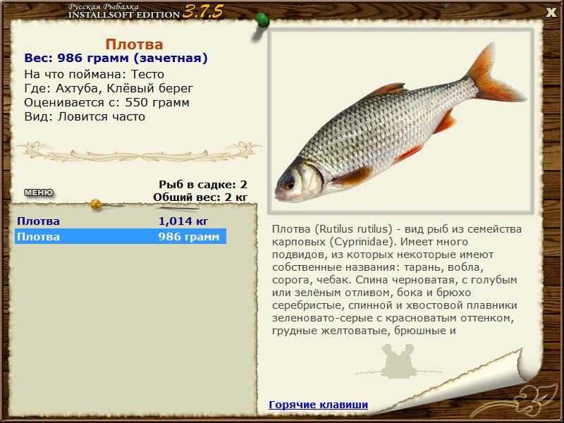 турниры • РУССКАЯ РЫБАЛКА