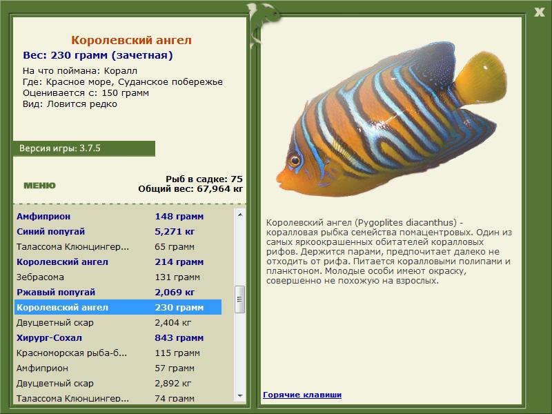РУССКАЯ РЫБАЛКА Installsoft Edition 