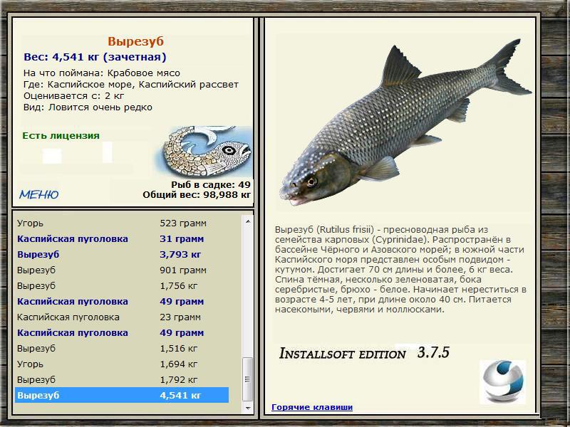 Каспийский рассвет 