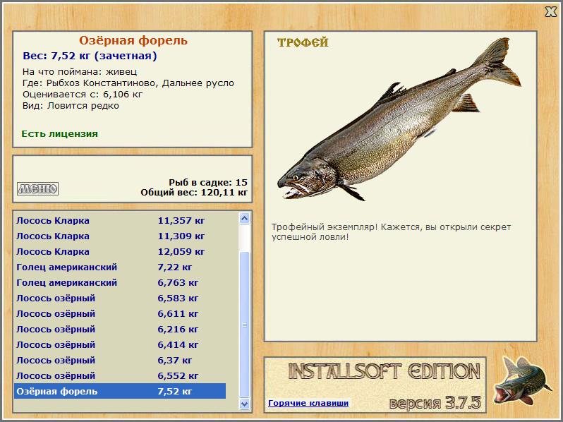 Озёрная форель 