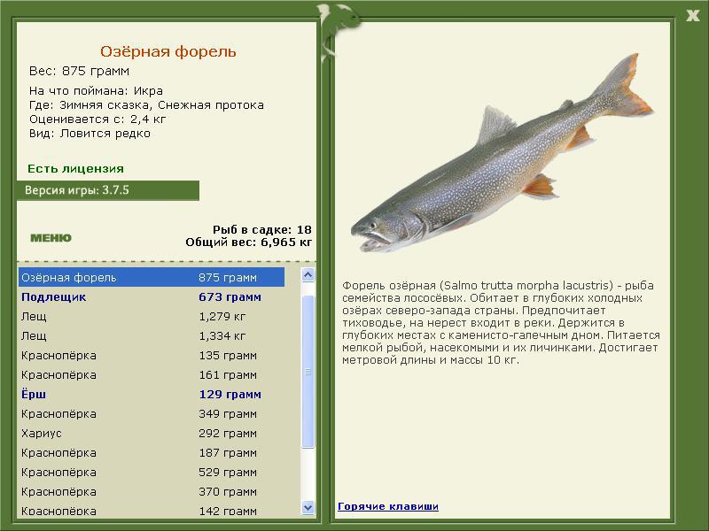 Зимняя сказка 