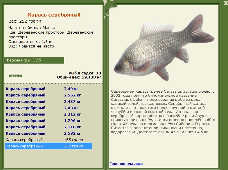 турниры • РУССКАЯ РЫБАЛКА