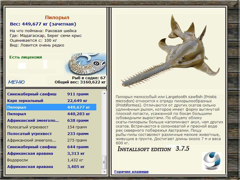 Берег семи крыс 