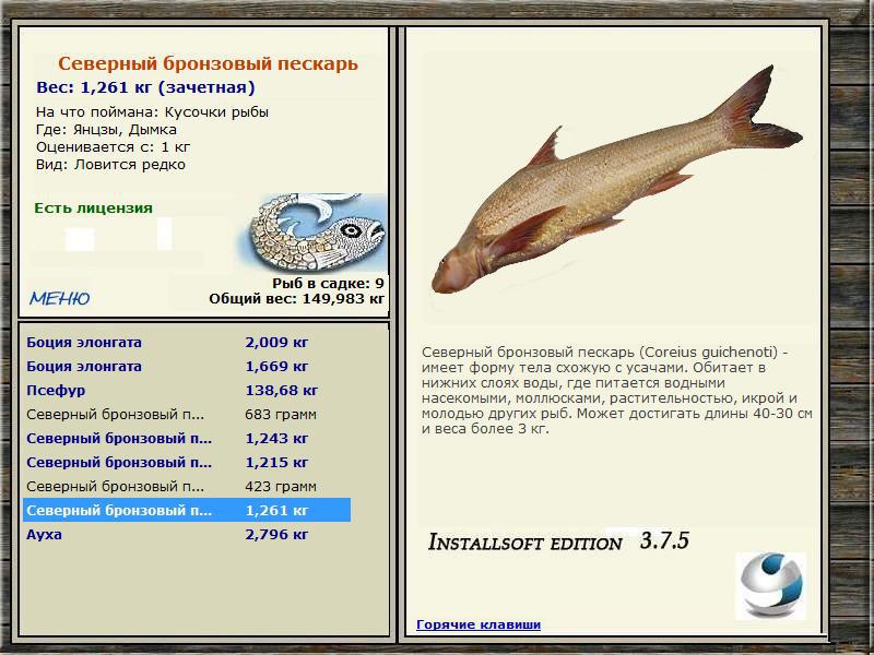 Дымка 