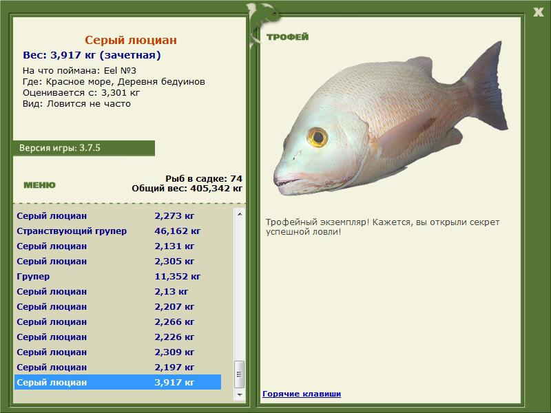 Деревня бедуинов 