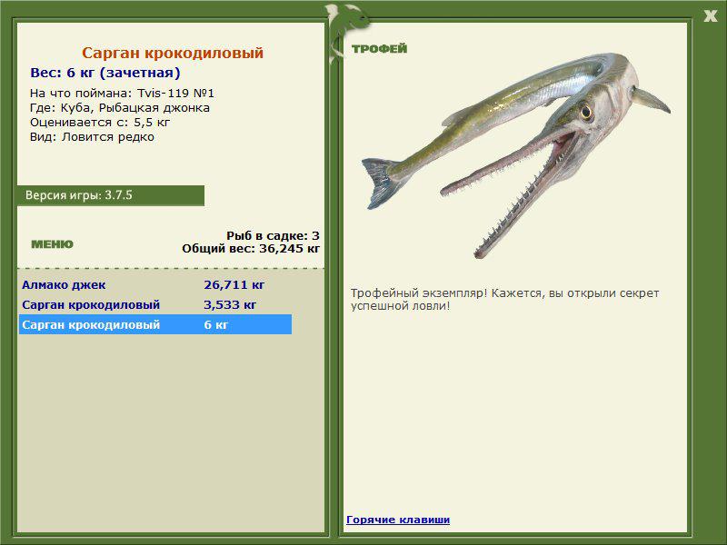 Сарган крокодиловый 