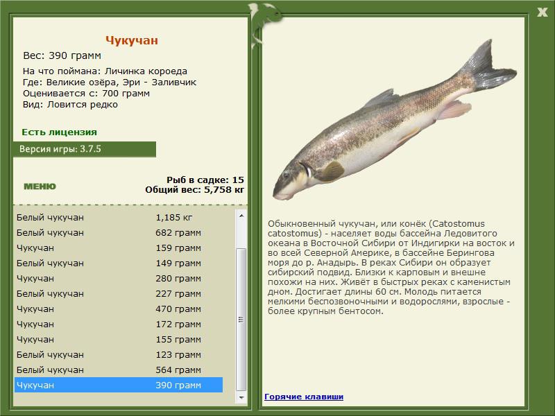  Заливчик • Великие Американские озёра • РУССКАЯ РЫБАЛКА