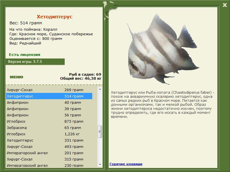Суданское побережье 
