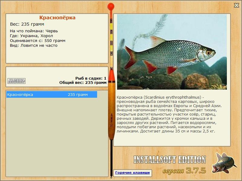 турниры • РУССКАЯ РЫБАЛКА
