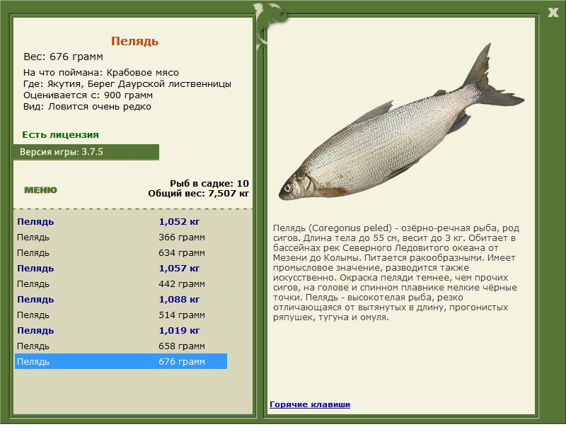 турниры • РУССКАЯ РЫБАЛКА
