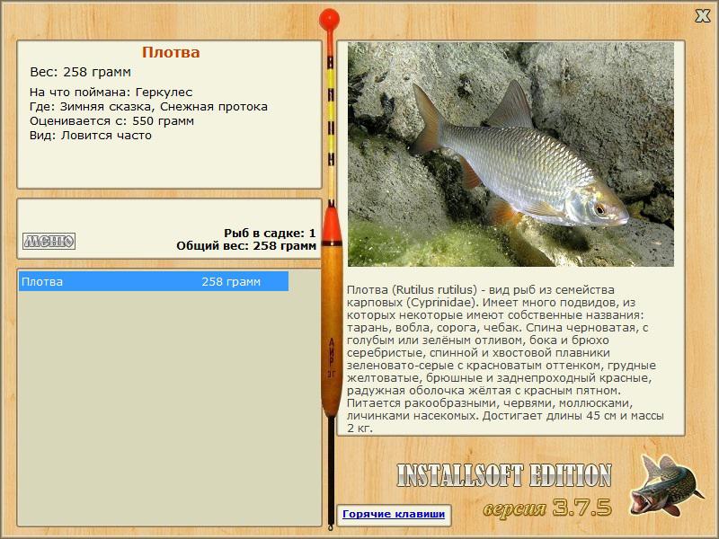 турниры • РУССКАЯ РЫБАЛКА