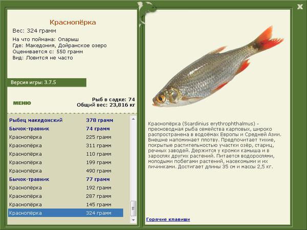 РУССКАЯ РЫБАЛКА Installsoft Edition 