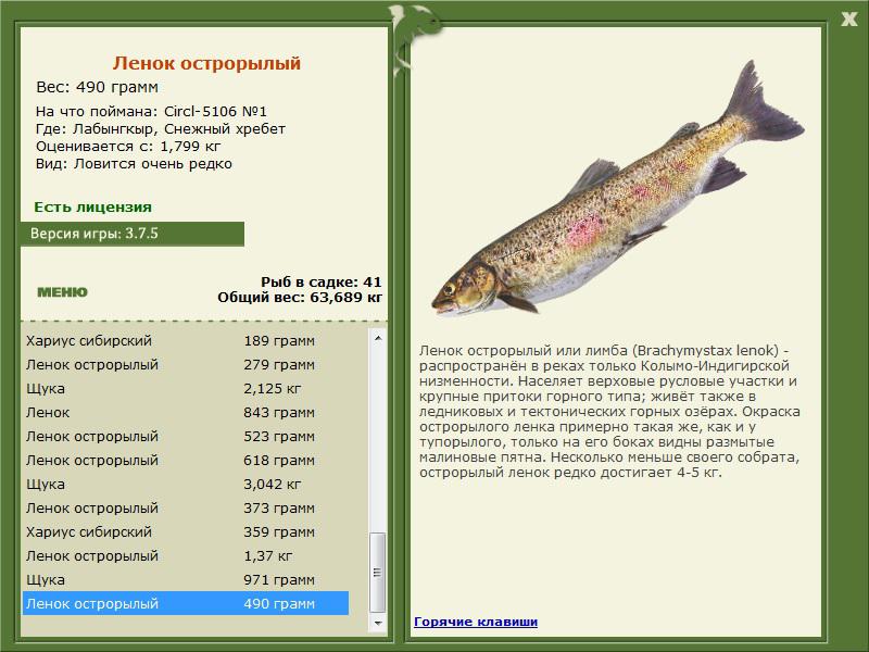 Снежный хребет 
