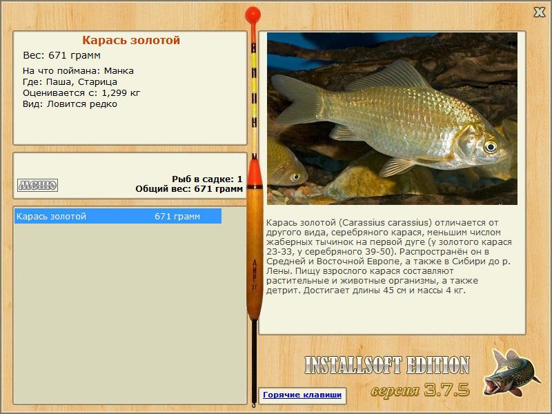 турниры • РУССКАЯ РЫБАЛКА