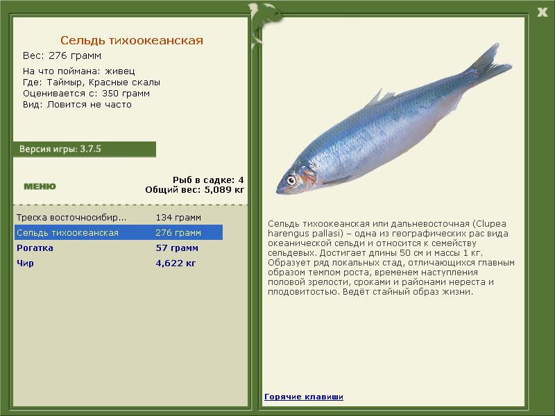 Таймыр 