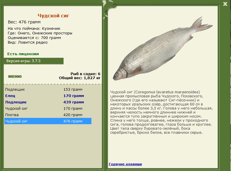 Онежские просторы 