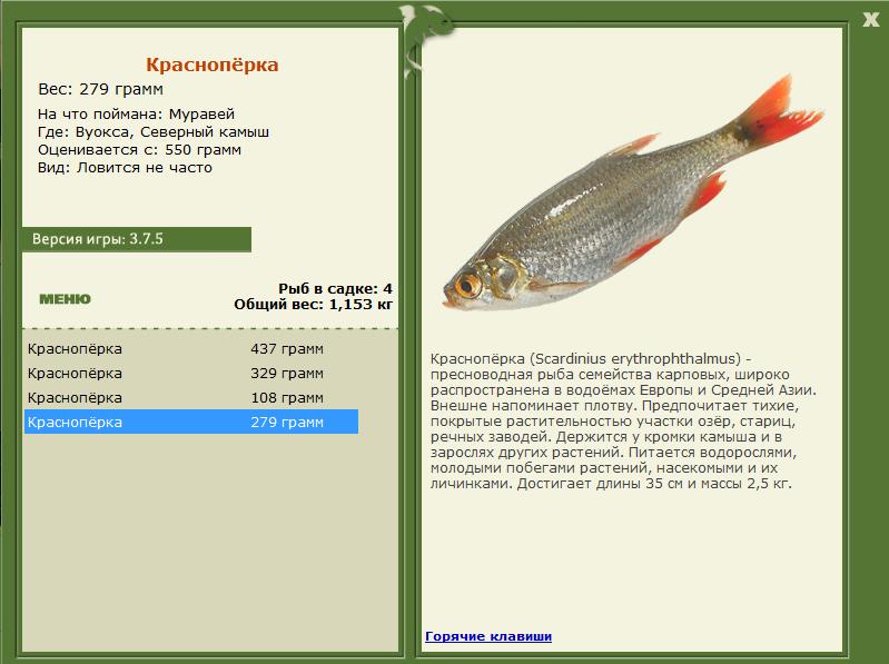 РУССКАЯ РЫБАЛКА Installsoft Edition 