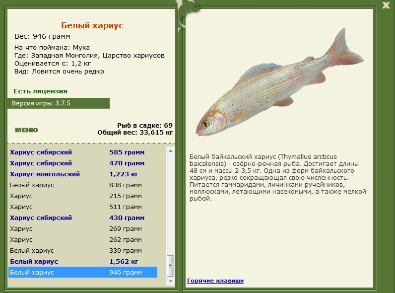 Царство хариусов 