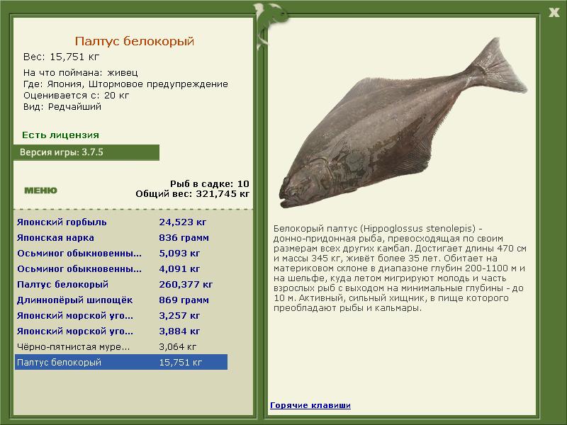турниры • РУССКАЯ РЫБАЛКА