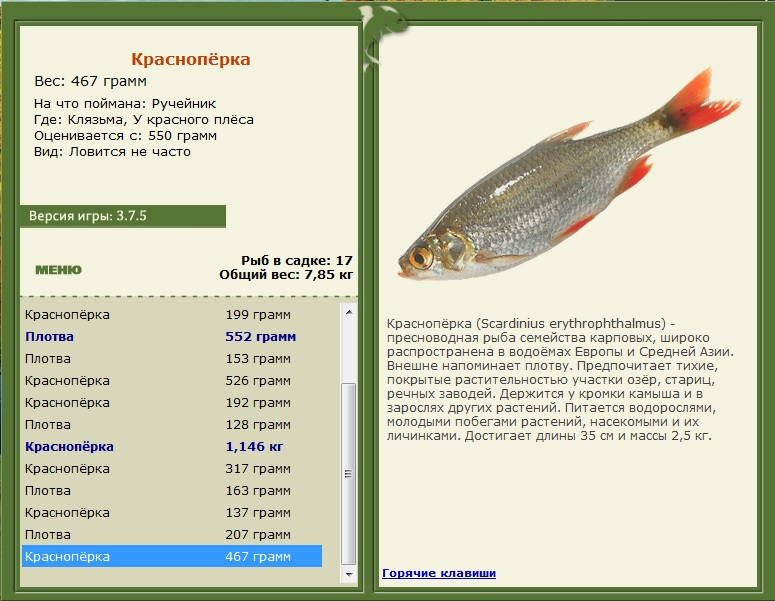 У красного плёса 