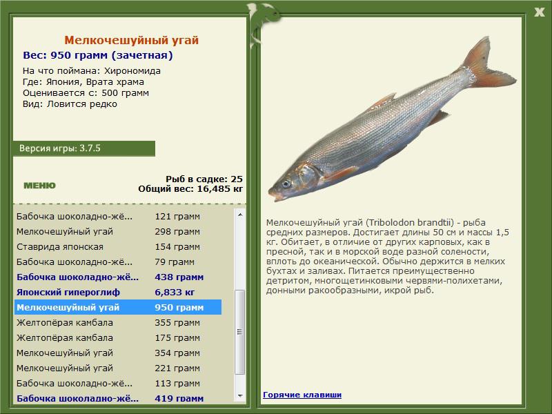 РУССКАЯ РЫБАЛКА Installsoft Edition 