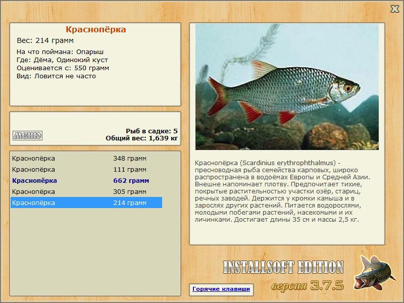 турниры • РУССКАЯ РЫБАЛКА