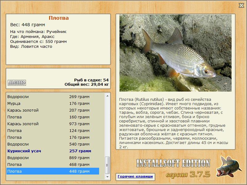 турниры • РУССКАЯ РЫБАЛКА