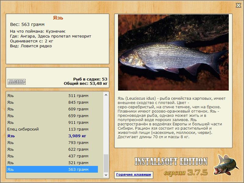 турниры • РУССКАЯ РЫБАЛКА