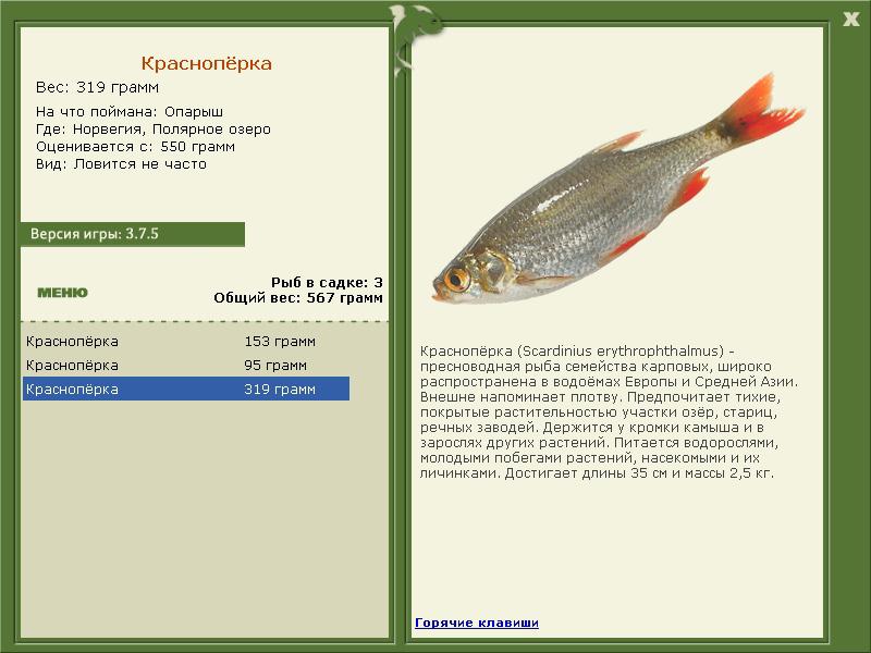 Полярное озеро 