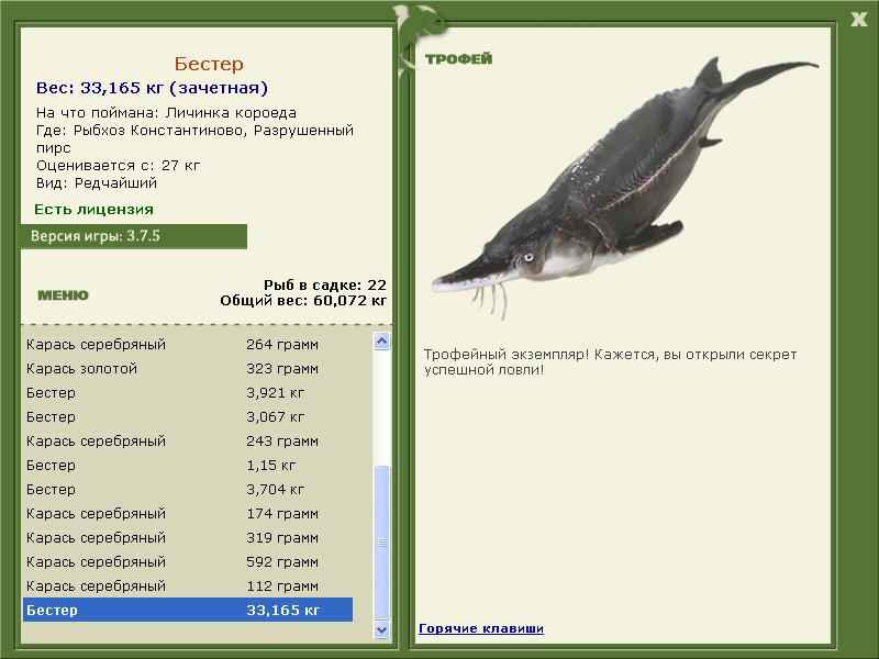 Бестер 
