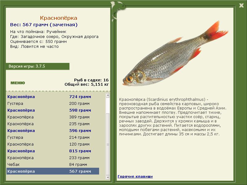 РУССКАЯ РЫБАЛКА Installsoft Edition 