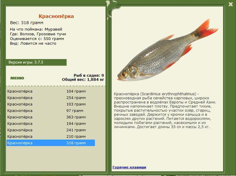 РУССКАЯ РЫБАЛКА Installsoft Edition 