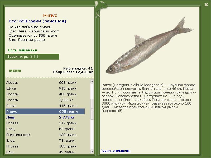 РУССКАЯ РЫБАЛКА Installsoft Edition 