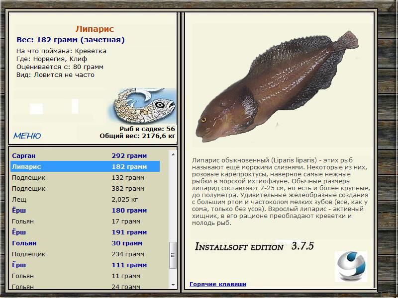 Норвегия 